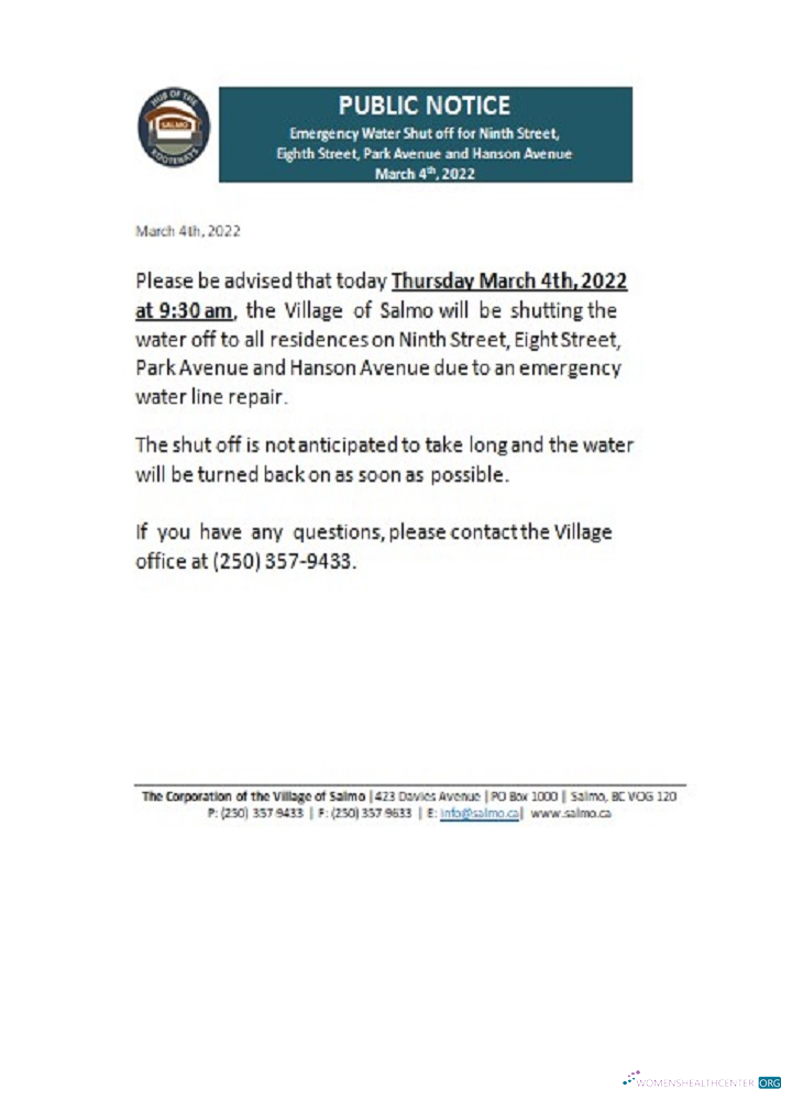 download download Canada British Columbia Hub of the Salmo Kootenays utility shut off notice